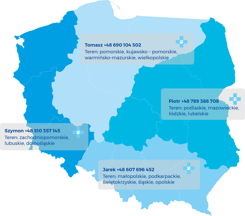 Mapa Regiony sprzedazy